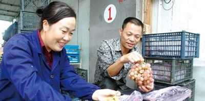 葡萄冷庫保鮮儲存方法,葡萄如何進行冷庫貯藏保存圖4