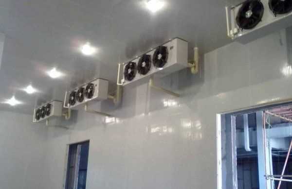 葡萄冷庫保鮮儲存方法,葡萄如何進行冷庫貯藏保存圖5