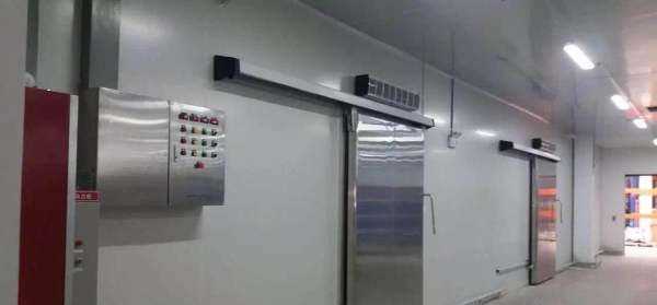 葡萄冷庫保鮮儲存方法,葡萄如何進行冷庫貯藏保存圖7