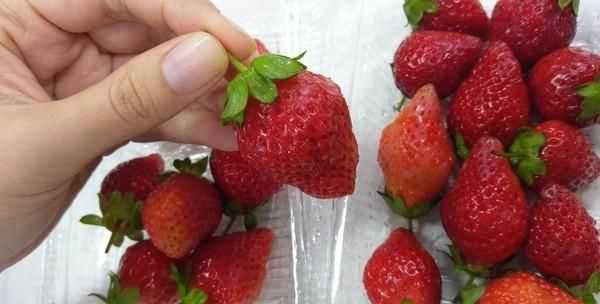 草莓長(zhǎng)毛了旁邊的還能吃嗎