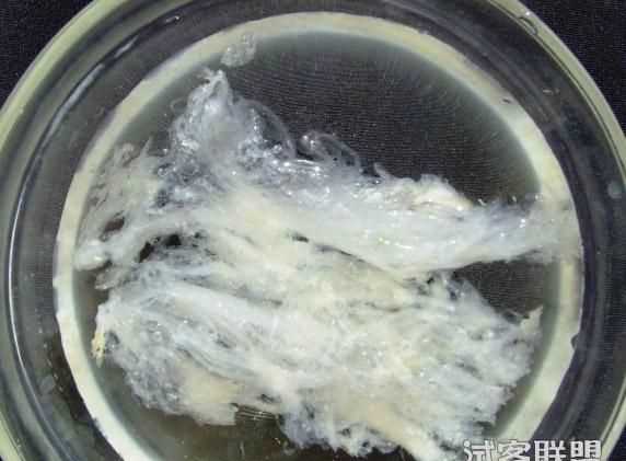 即食燕窩可以用開(kāi)水沖嗎