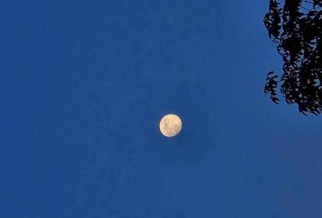 拍月亮發(fā)朋友圈說說，2021首次超級月亮說說？圖3