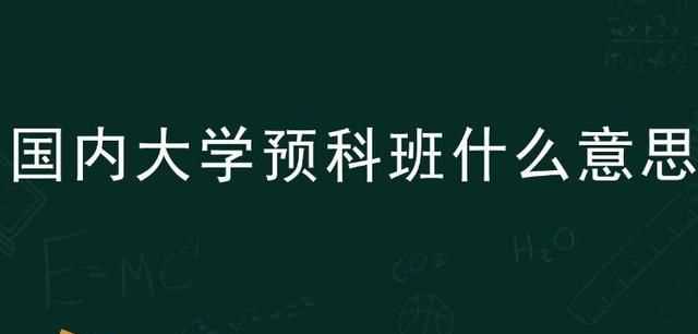 預(yù)科生是什么