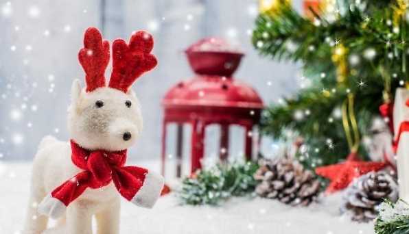 圣誕節(jié)起源于哪個(gè)國家,圣誕節(jié)來源于哪個(gè)國家等共性問題圖3