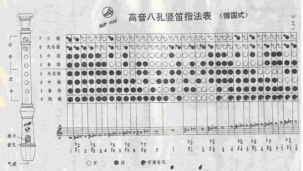 豎笛指法八孔指法圖,八孔豎笛指法表怎么看圖4