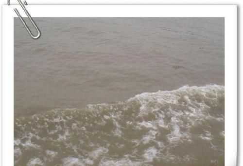 長江后浪推前浪的下一句是啥?