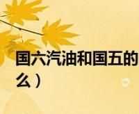 國(guó)五國(guó)六車有什么區(qū)別標(biāo)志