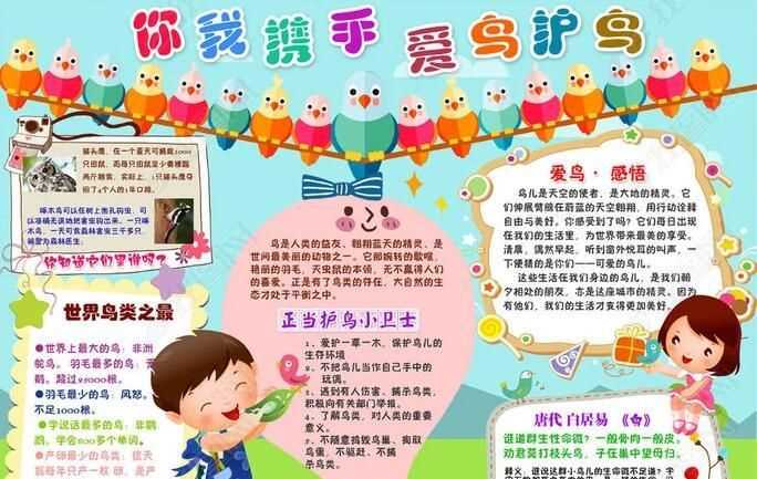 保護野生動物宣傳標語有哪些