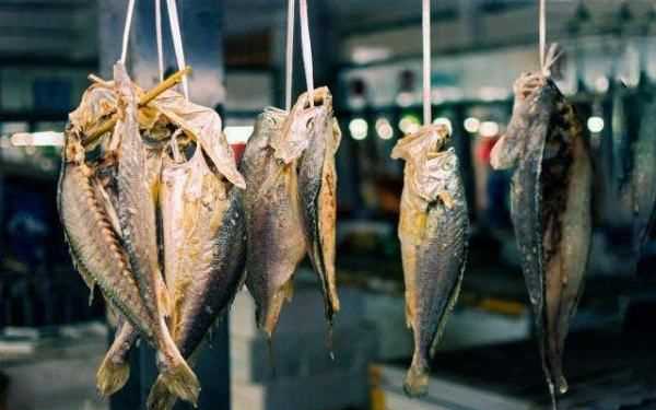 臭乳蝦是什么,臭魚(yú)爛蝦什么意思啊圖3