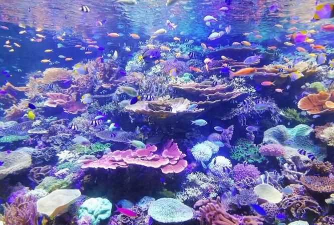 航速30節(jié)等于多少kmh，一海里等于多少公里