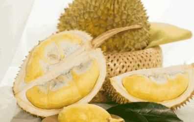 榴蓮儲(chǔ)存條件