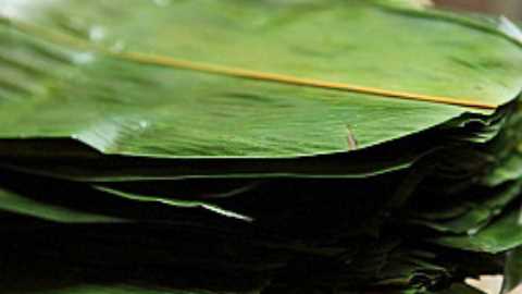 粽子用蒸鍋蒸多長時間,粽子蒸多久才能熟多長時間能煮熟圖1