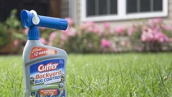 殺蟲劑對(duì)跳蚤有用嗎，殺蟲劑噴對(duì)跳蚤有效嗎？圖3