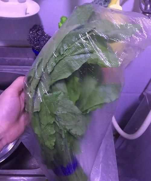 新鮮蔬菜如何保鮮