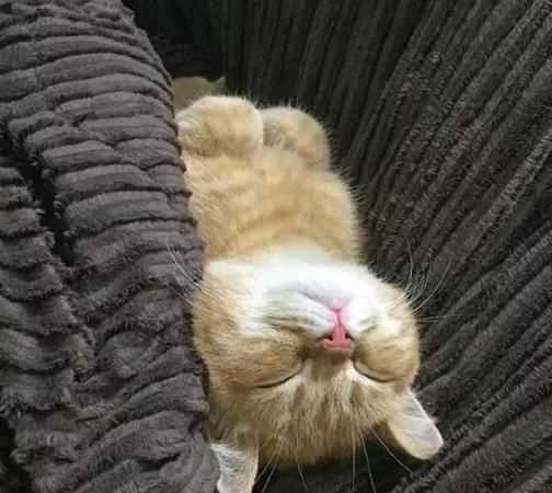 什么的睡覺(jué)填空詞語(yǔ)三年級(jí)