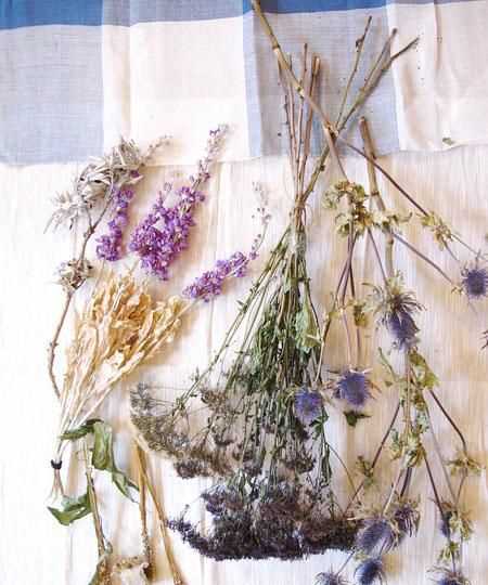 如何讓干花保持原來(lái)色彩不變