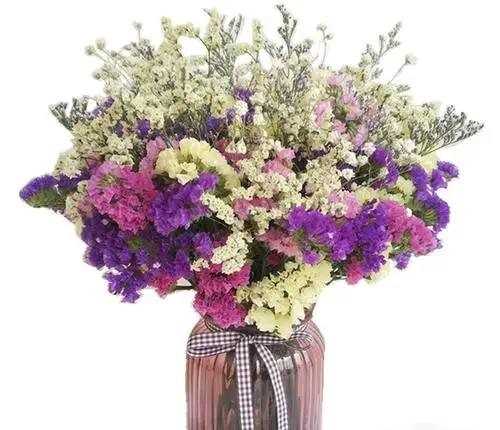 怎么做干花可以保持顏色,做干花怎么保存花的顏色圖6