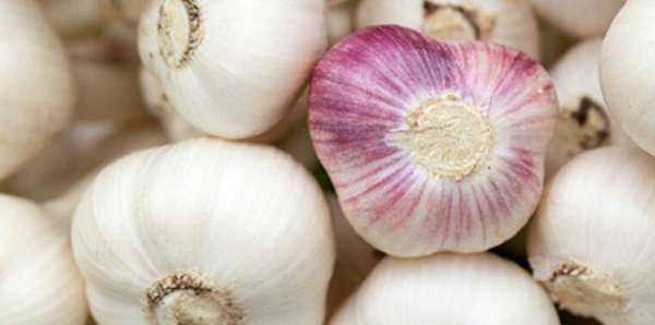 新蒜如何變成老蒜,新蒜頭怎么曬成老蒜圖3