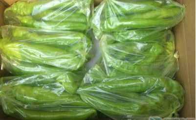 沒冰箱怎么保存隔夜菜,沒有冰箱隔夜菜如何不壞呢圖2