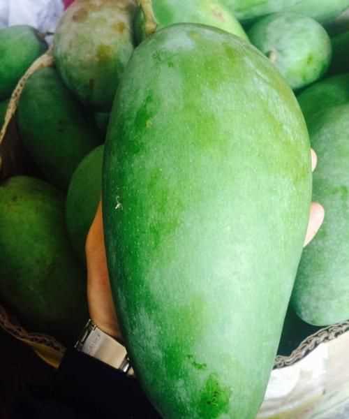 夏天芒果怎么存放不容易壞