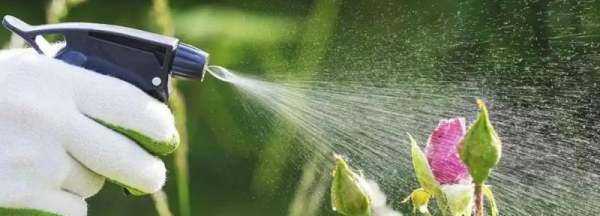 噴殺蟲劑多久開窗通風(fēng),殺蟲劑的好處和壞處圖2