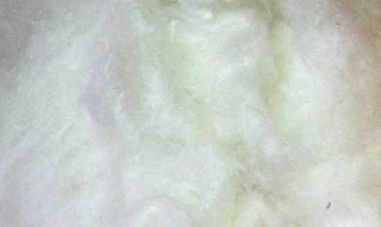 桑蠶絲的優(yōu)缺點(diǎn)，百分百桑蠶絲衣服的優(yōu)缺點(diǎn)？圖4