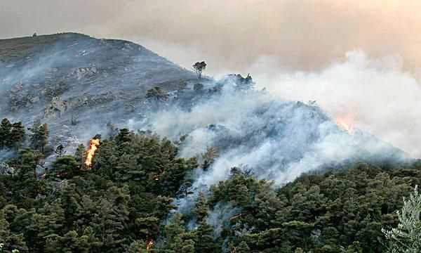 破壞森林會(huì)帶來哪些危害