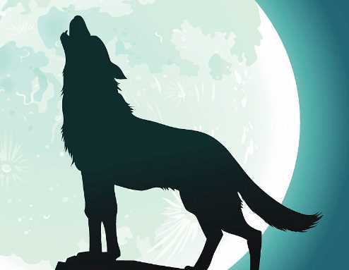 小動物自己治病的方法,什么動物自己能治病作文圖1