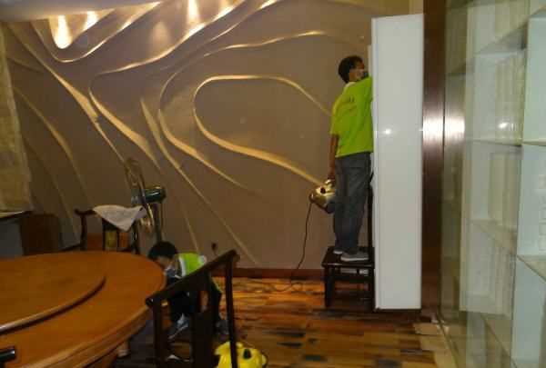 小蟲怎么消滅小竅門,家里地板有小蟲子怎么消除小妙招圖6