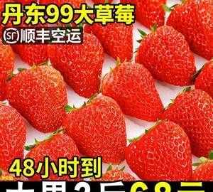 丹東九九草莓還有馬家崗草莓都是什么意思有什么區(qū)別