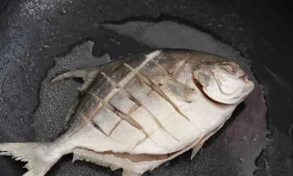 鯧魚怎么做最好吃又簡單,鯧魚怎么做好吃又簡單圖5