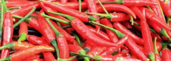 泡紅辣椒怎么泡才不會軟,泡辣椒怎么做才不會泡爛圖1