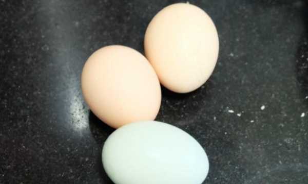 剩的餃子餡可以做什么,餃子餡剩下了怎么做好吃圖5