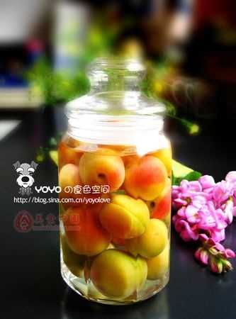 杏子可以泡酒嗎杏子如何泡酒