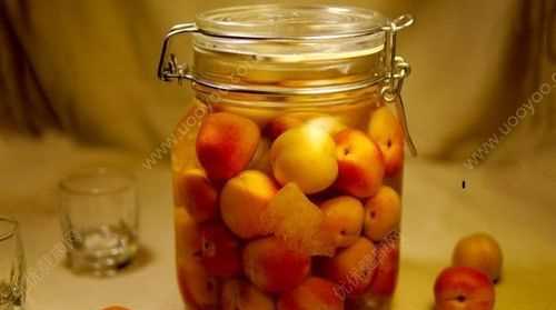 杏子酒的功效與作用 杏子酒的做法