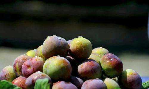 李子吃了對(duì)胃有影響,為什么多吃李子不好圖5