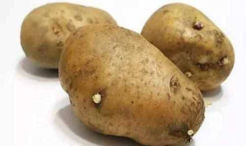 發(fā)了芽的土豆吃了有什么危害