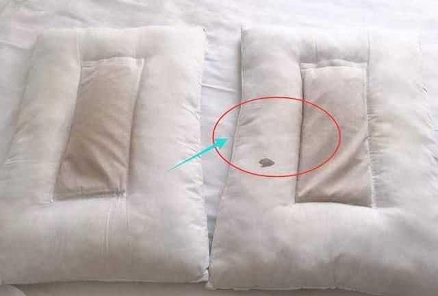 枕芯一般多久需要更換一次