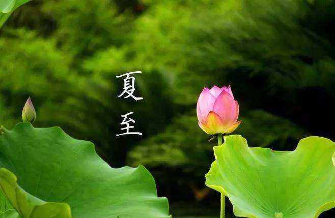 端午節(jié)又名什么節(jié)日