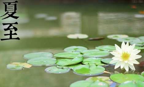 夏節(jié)又稱(chēng)什么,夏節(jié)又稱(chēng)什么三個(gè)字圖4