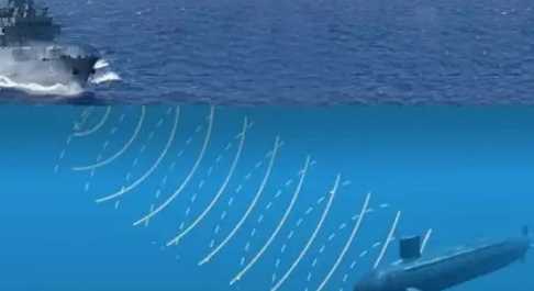 人從什么動(dòng)物身上得到啟示發(fā)明了什么,人類從哪些動(dòng)物受到啟發(fā)發(fā)明了什么?圖1