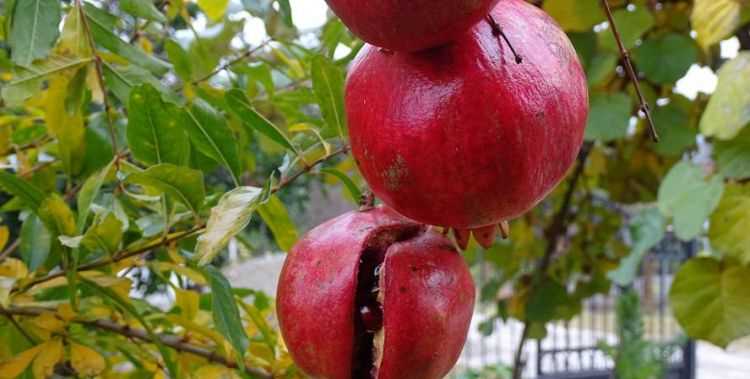 七上八下打一成語(yǔ)謎語(yǔ)