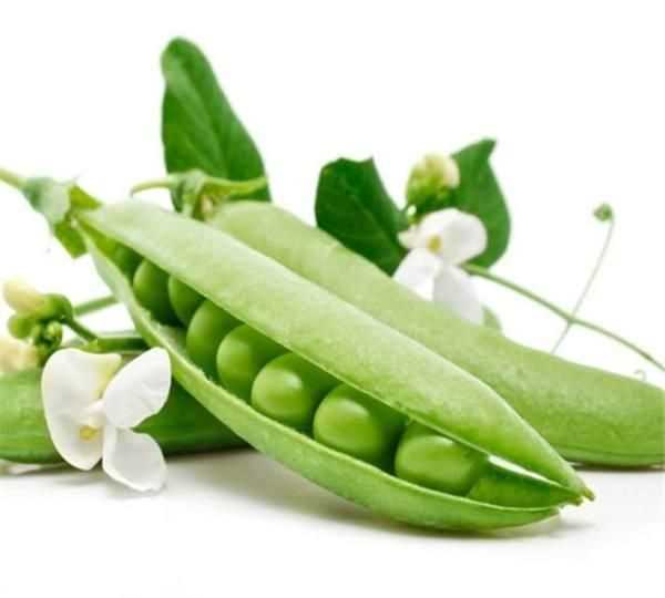 豆莢是什么，豆莢投放是什么？圖3
