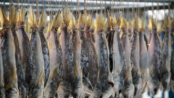 網(wǎng)絡(luò)語(yǔ)咸魚是什么意思,網(wǎng)絡(luò)流行語(yǔ)咸魚是什么意思圖1