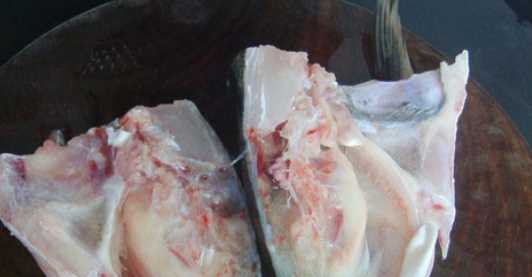 魚頭豆腐湯的做法,魚頭豆腐湯的做法家常做法圖14