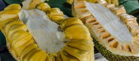 菠蘿蜜切開一半剩下的不剝開能保存么,菠蘿蜜切一半還能放熟嗎圖2