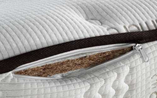 床墊子生小黑蟲(chóng)怎么消除,床墊下面有黑色蠕動(dòng)的小蟲(chóng)子怎么辦圖5