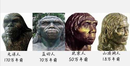 漢字字體的演變