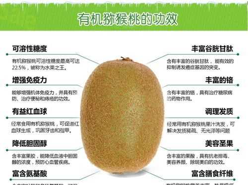 獼猴桃加冰糖發(fā)酵后怎么保存口感不變又能放時間長的呢