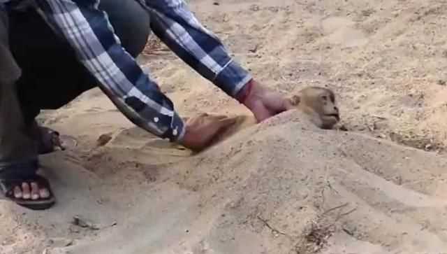 觸電埋沙堆有什么用,人觸電后用沙子埋吸走電這科學